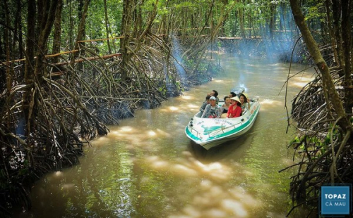 Ngao du khách rừng đước 