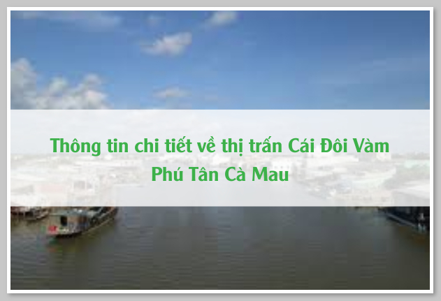 Thông tin chi tiết về thị trấn Cái Đôi Vàm Phú Tân Cà Mau