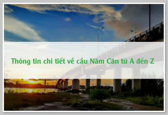 Thông tin chi tiết về cầu Năm Căn từ A đến Z