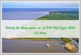 Thông tin tổng quan về xã Đất Mũi Ngọc Hiển Cà Mau