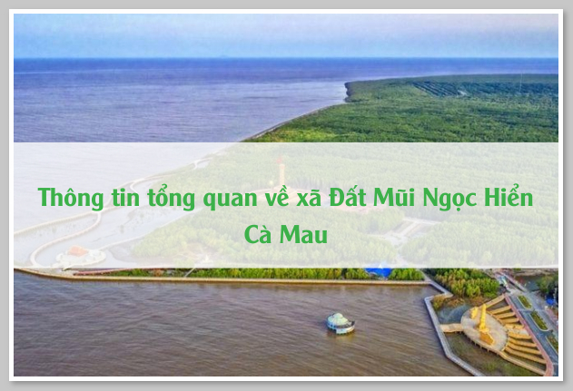 Thông tin tổng quan về xã Đất Mũi Ngọc Hiển Cà Mau