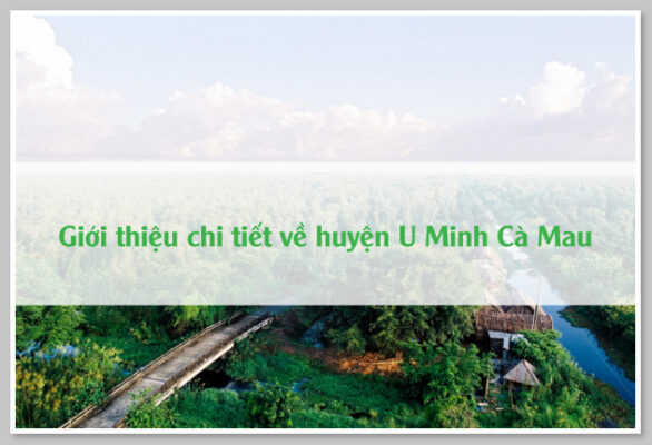 Giới thiệu chi tiết về huyện U Minh Cà Mau