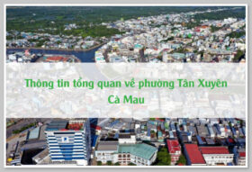 Thông tin tổng quan về phường Tân Xuyên Cà Mau