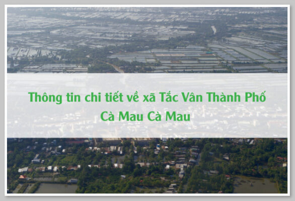 Thông tin chi tiết về xã Tắc Vân Thành Phố Cà Mau Cà Mau