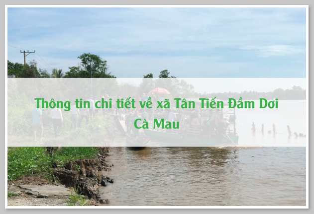 Thông tin chi tiết về xã Tân Tiến Đầm Dơi Cà Mau